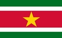 Surinaamse Vlag